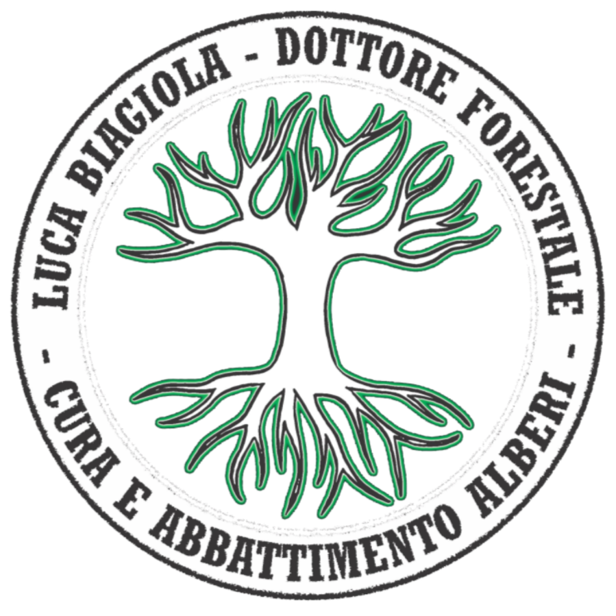 Dottore Forestale Luca Biagiola - Cura e abbattimento alberi